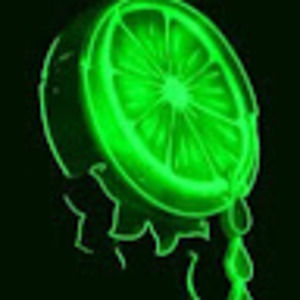 Meet your Posher, Lizzy